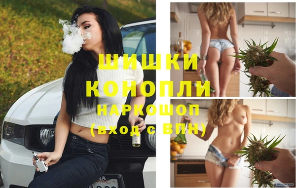 apvp Алзамай