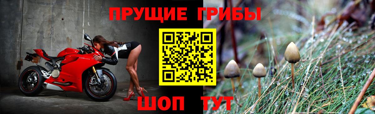 Когалым  наркошоп  Псилоцибиновые грибы MAGIC MUSHROOMS  Вход с VPN  Галлюциногенные грибы мухоморы 